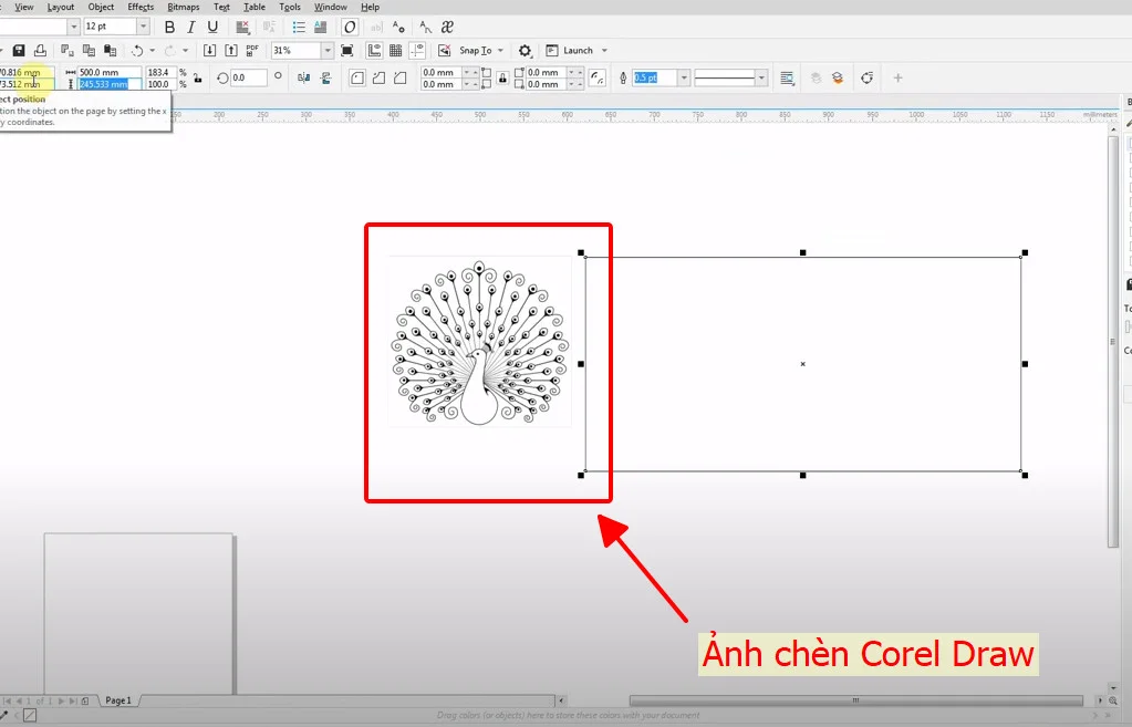 Chèn ảnh vào phần mềm Corel Draw