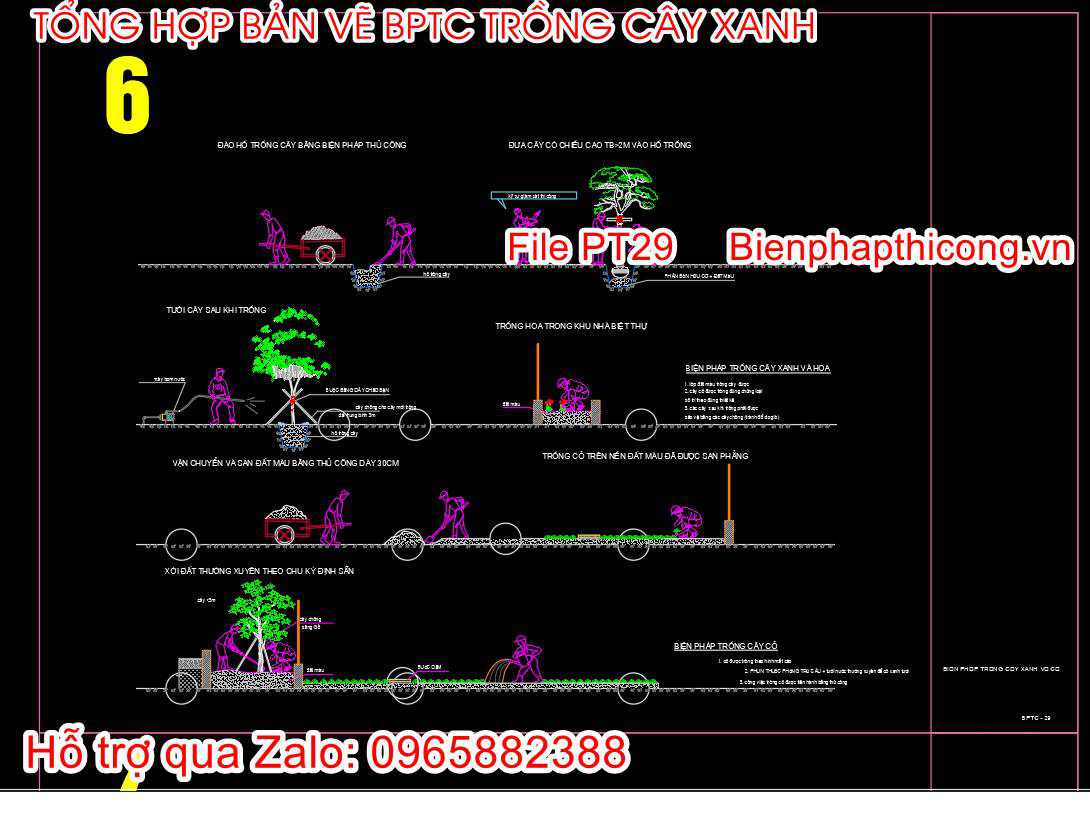 Bản vẽ biện pháp thi công trồng cây xanh thủ công.
