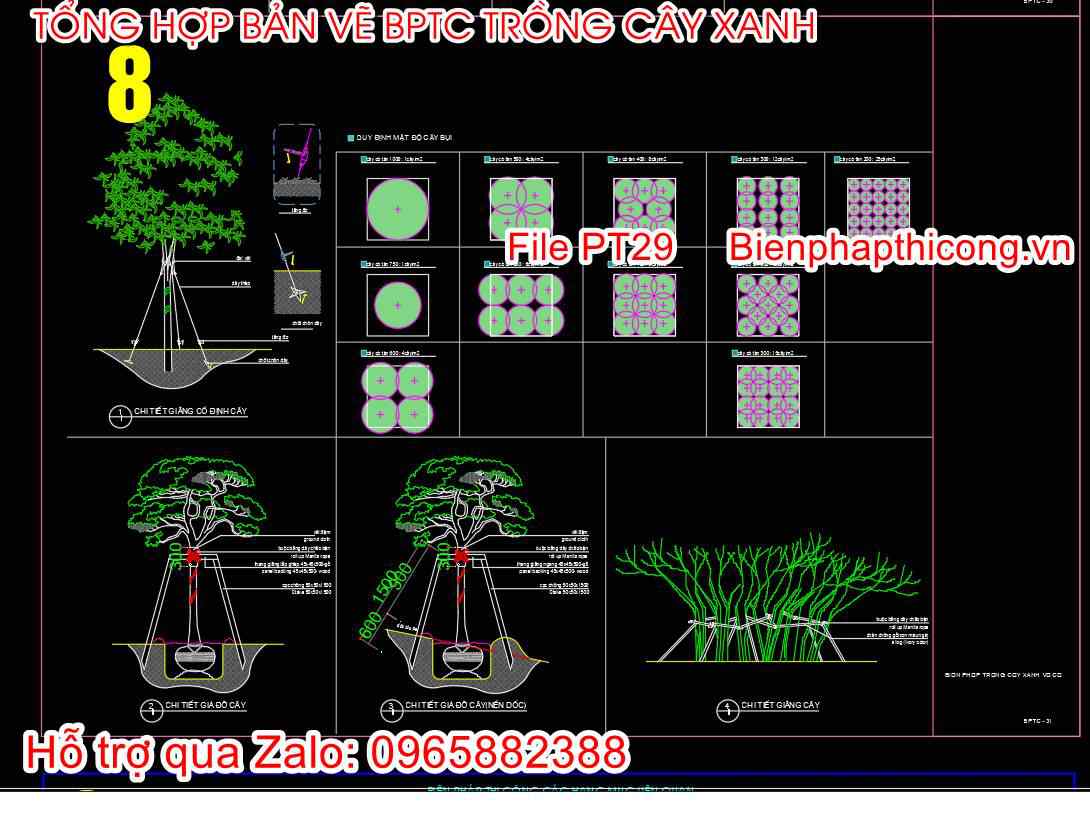 Mẫu bản vẽ biện pháp thi công trồng cây cad.