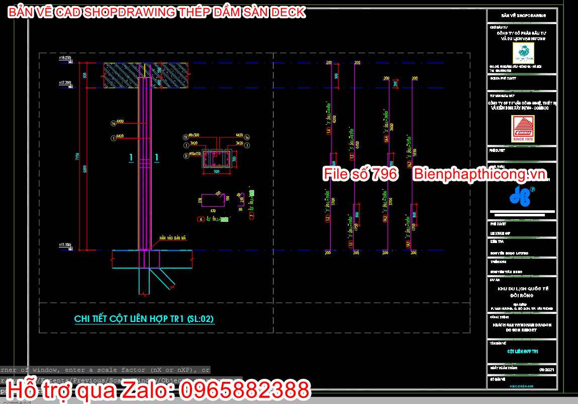 Mẫu shopdrawing cad sàn deck.