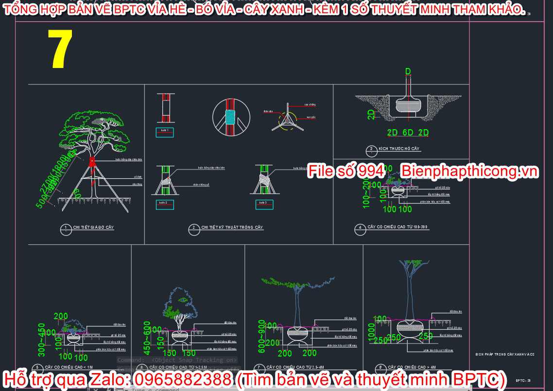 File cad biện pháp tổ chức thi công trồng cây.
